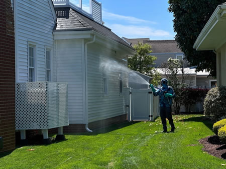 DIY vs Professional Power Washing: What Coastal NJ Homeowners Should Know