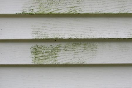 The Importance of Regular House Washing